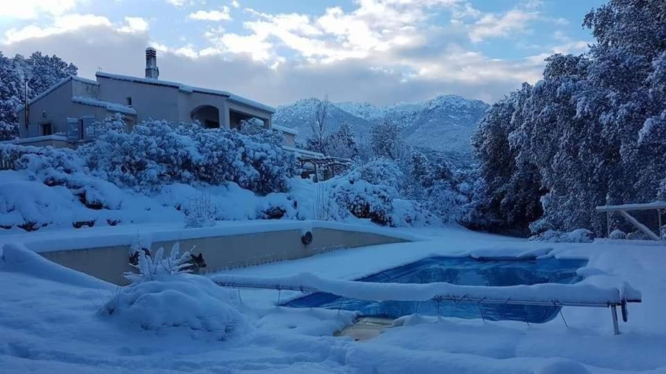 Gites San Austinu Petreto-Bicchisano Exterior foto